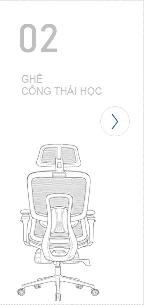 Ghế Công Thái Học